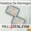 Karmagra Jelly 25